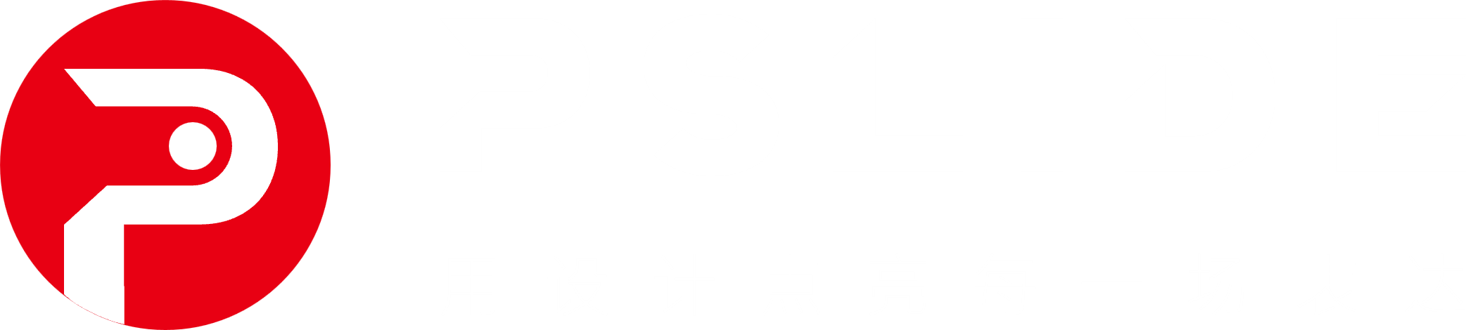 PSLIDE